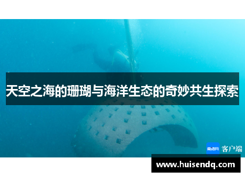 天空之海的珊瑚与海洋生态的奇妙共生探索 天空之海的珊瑚与海洋生态的奇妙共生探索