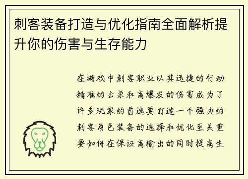 刺客装备打造与优化指南全面解析提升你的伤害与生存能力