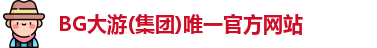BG大游集团